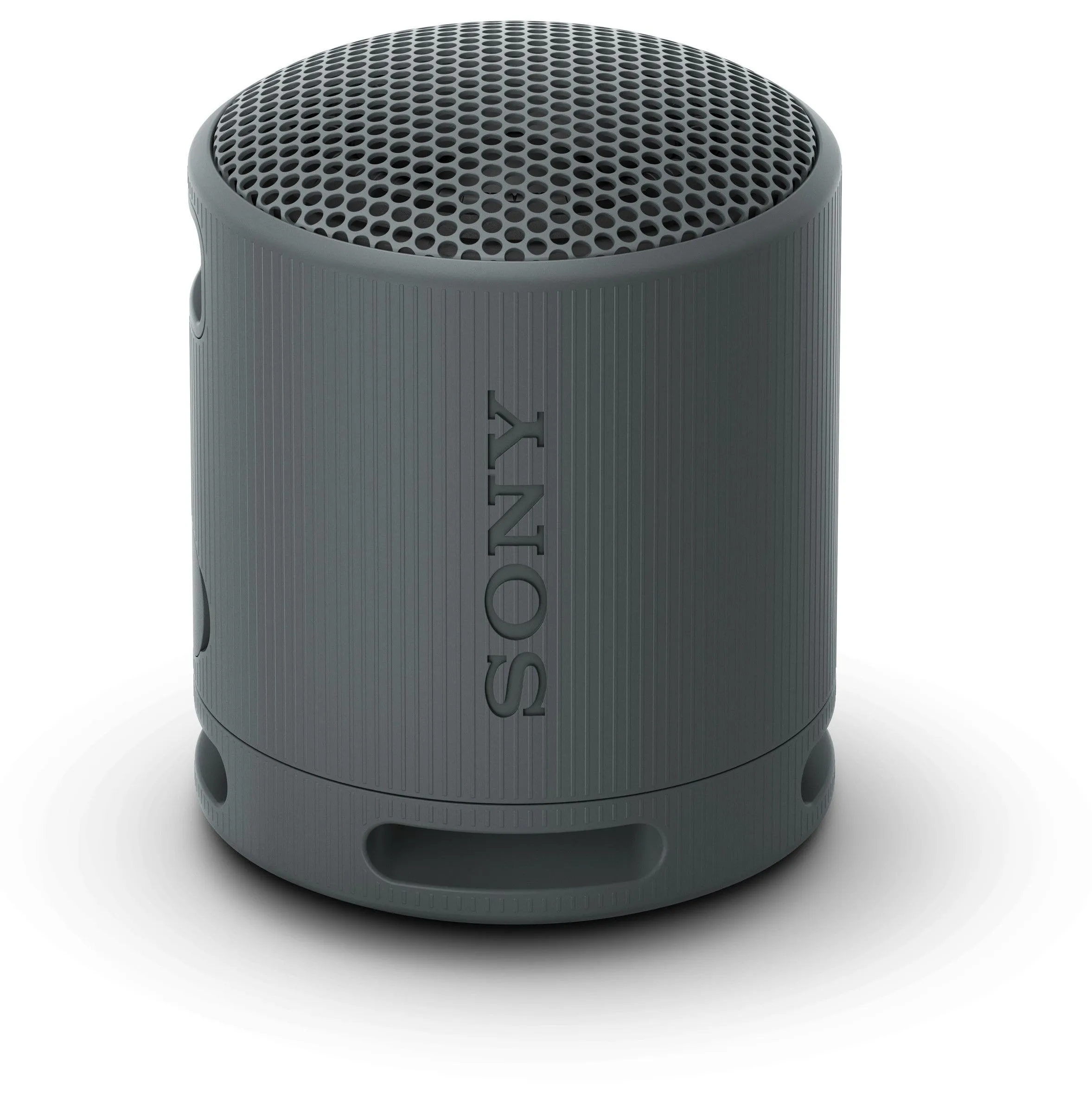 Sony SRS-XB100