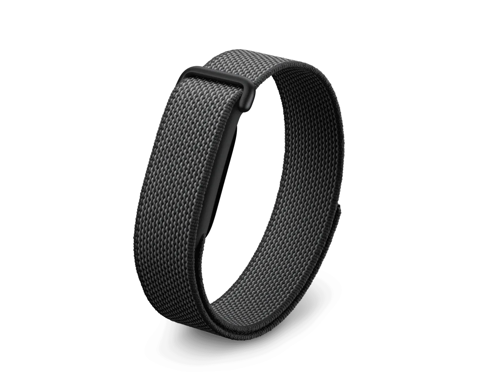 Google Fitbit Air